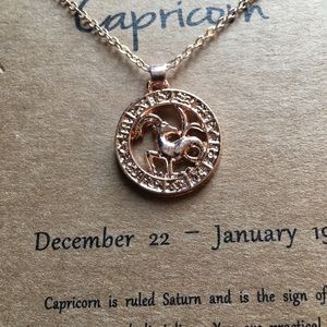 Capricorn zodiac necklace 3/$25